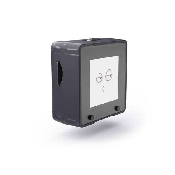 Sipeed MaixCube - AIoT, Easy to Build a Facial Recognition System, Kendryte RISC-V K210